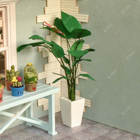 doll house plants Dollhouse Plants DIY Kit – iLAND