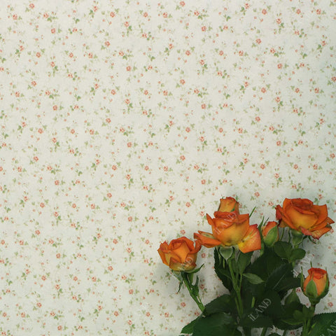 Originality Dollhouse Wallpaper 39 * 16 inch