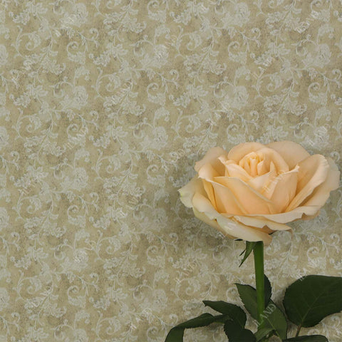 Originality Dollhouse Wallpaper 39 * 16 inch