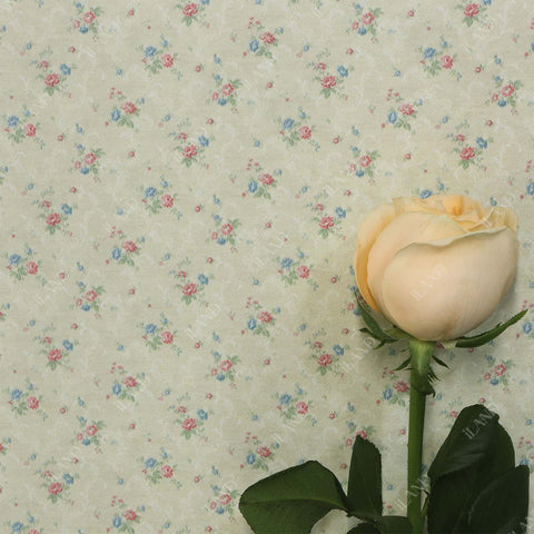 Originality Dollhouse Wallpaper 39 * 16 inch