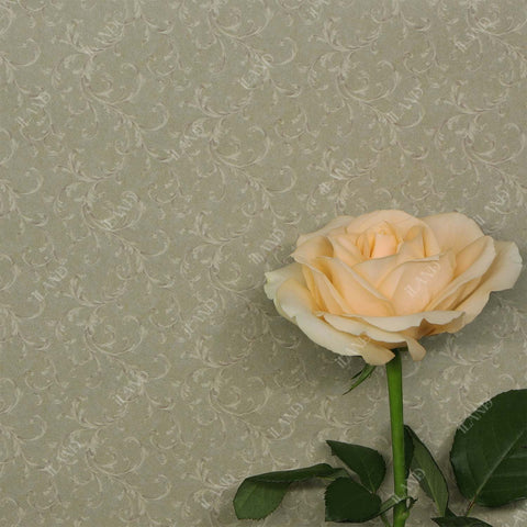 Originality Dollhouse Wallpaper 39 * 16 inch