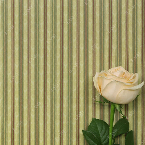 Originality Dollhouse Wallpaper 39 * 16 inch