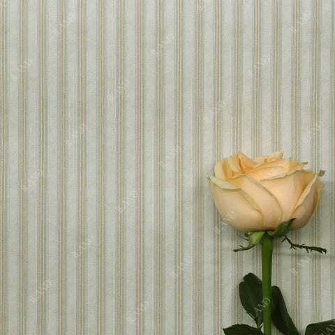 Originality Dollhouse Wallpaper 39 * 16 inch