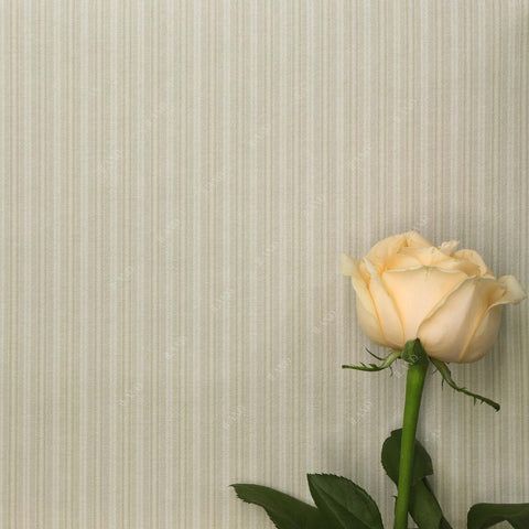 Originality Dollhouse Wallpaper 39 * 16 inch